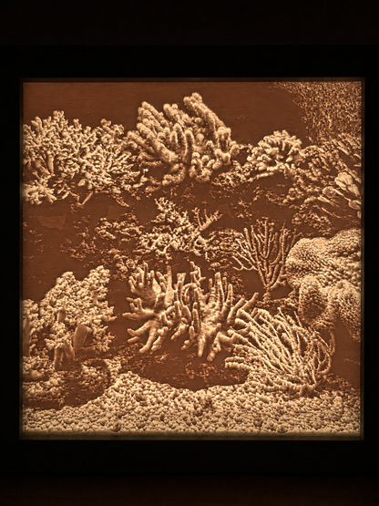 Cube lithophane marron foncé éclairé en ambre – décor corail