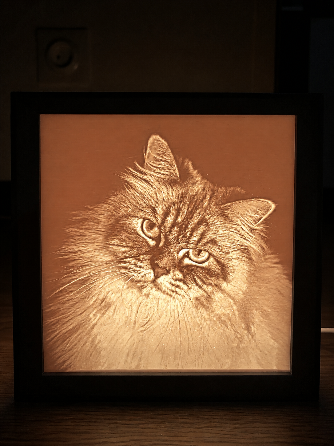 Détail d’une lithophanie de chat éclairée en ambre sur cube marron foncé