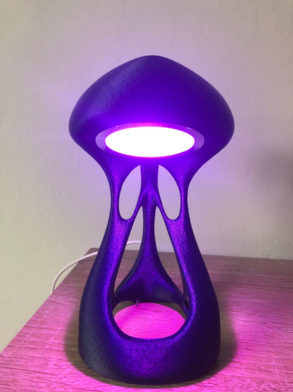 Lampe d'appoint de bureau 12 couleurs (petite) Télécommande et piles incluses